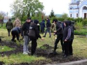 Экзотическая зеленая инициатива под Киевом