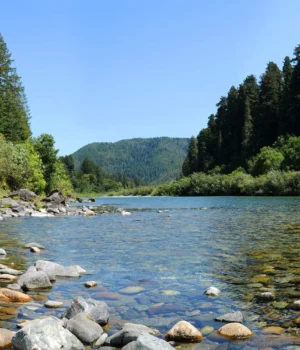 0a155218379c1a88cdf82f22efb35214