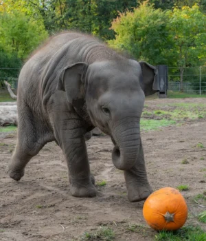 14a4cdb0a359d1c141db2e22709cb809