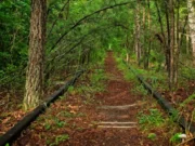 Брошенные железнодорожные пути Нью-Джерси преобразуются в красивые и полезные зеленые зоны