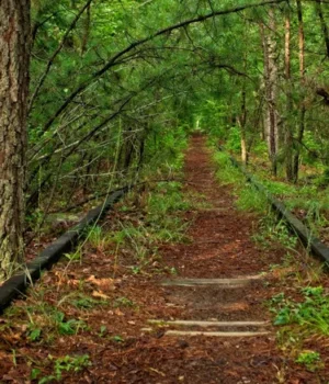 2ff6aa73fb8a5e9002bda554b32264c2