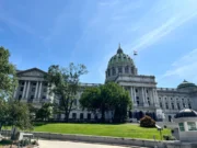 От удаление когтей до жестокого обращения с животными: законодатели Пенсильвании борются с жестокостью к животным