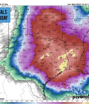 8c9aef93825c06cadb8a11fe3efb2020