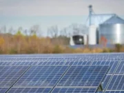 Исследование: Калифорнийские города — наиболее экологичные в США, Аризона — на последнем месте