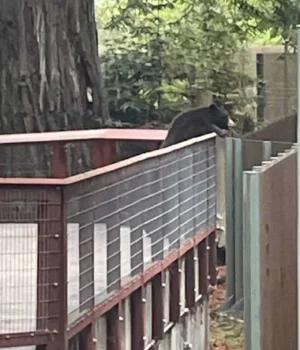 e8f868f8269ec5a6777e564a894f632a