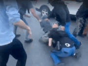 Протесты в Нью-Йорке: агенты ICE провели рейд на продавцов в Чайна-тауне, подозреваемых в продаже поддельных товаров