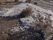 Департамент охраны окружающей среды Нью-Мексико запустил опрос о ПФАС в озере Холломан