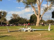 Глухая женщина выжила после столкновения с упавшим самолетом, пока выгуливала собаку в Калифорнии