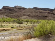 Бесплатный вход в государственные парки Техаса 2 ноября