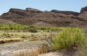 Бесплатный вход в государственные парки Техаса 2 ноября