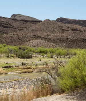 48f06ae975935cf6e4bcc22ced382bd8