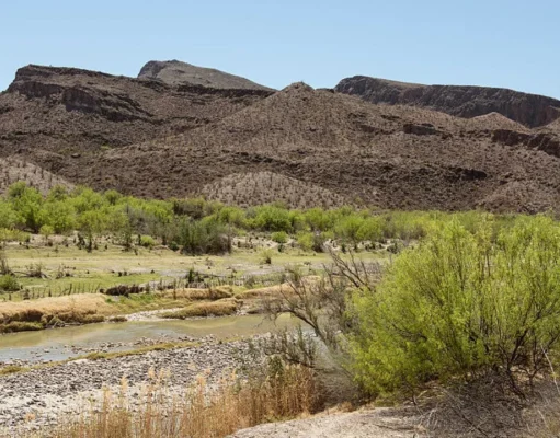 Бесплатный вход в государственные парки Техаса 2 ноября