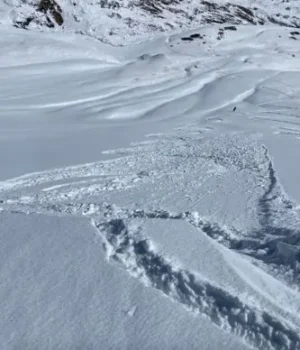 6a012393558cf1c03debf53575cfb1df