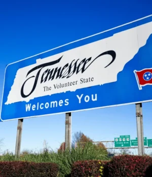 a15c0a00f5e41e7150dd9025ffc1a648