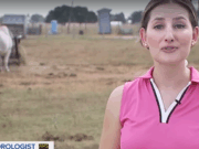 Условия засухи в Техасе и их влияние на скотоводов и поголовье